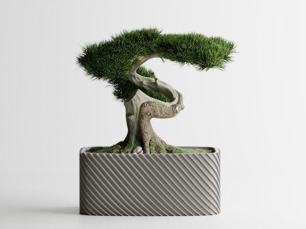 紡影鉢（ぼうえいばち）